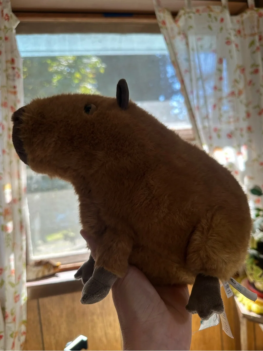 Jellycat • Clyde the Capybara Cuddly Plush Toy